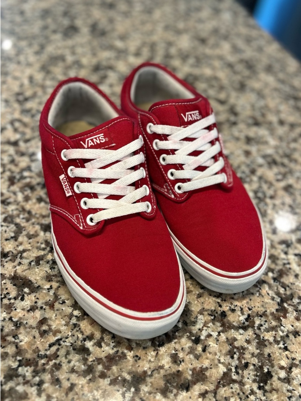 Vans Canvas Low-Top Sneakers